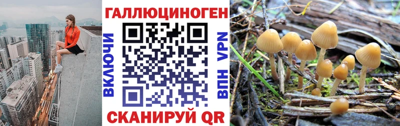 MEGA ссылка  Мамадыш  Галлюциногенные грибы Magic Shrooms 
