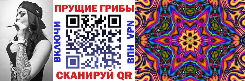 Псилоцибиновые грибы ЛСД Мамадыш